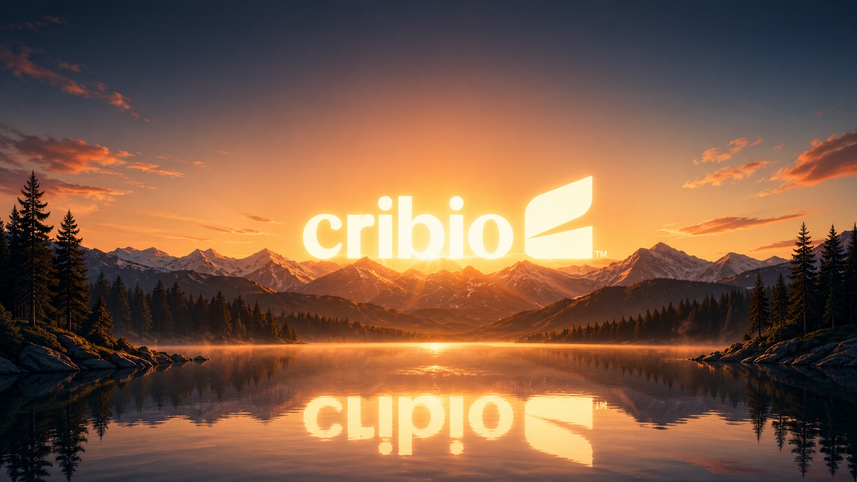 The Story of Cribio